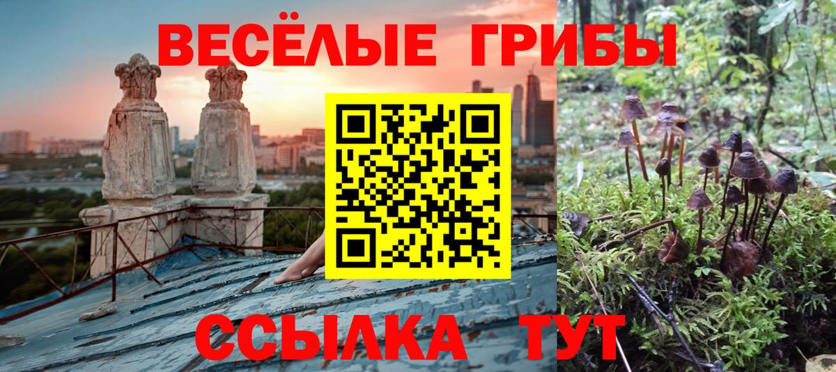наркотики  Вход с VPN  Саратов  Псилоцибиновые грибы GOLDEN TEACHER 